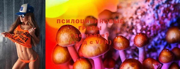 прущие крисы Алзамай
