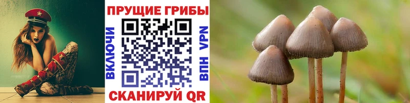 Галлюциногенные грибы GOLDEN TEACHER darknet как зайти Зея купить цена